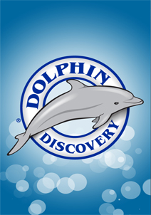 dolphin-discovery