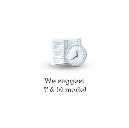 We Suggest T & M model