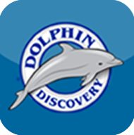 dolphin-discovery