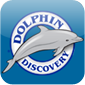 dolphin-discovery